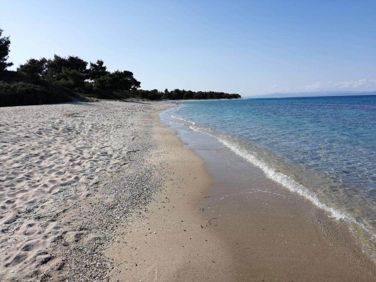 Seagull Villa Chalkidiki Pefkohóri Kültér fotó