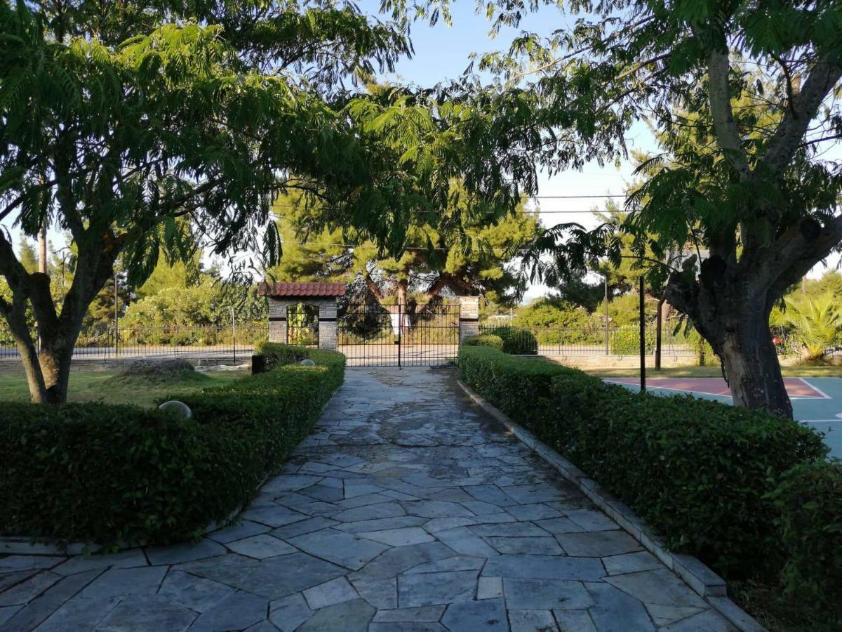Seagull Villa Chalkidiki Pefkohóri Kültér fotó